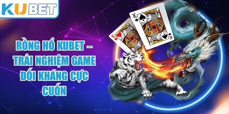 Rồng Hổ KUBET