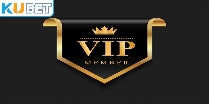 VIP thành viên hiện nay mang đến hàng ngàn phần quà giá trị