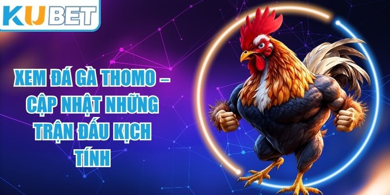 Xem Đá Gà Thomo
